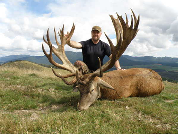 Red stag hunting club